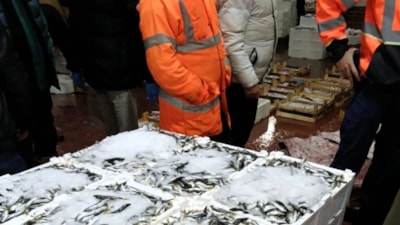 Bursa’da balık halinde gece operasyonu