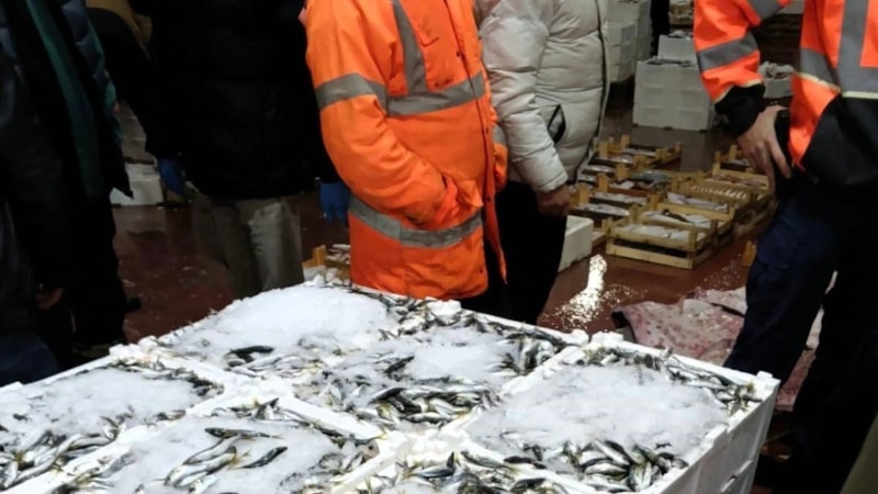 Bursa’da balık halinde gece operasyonu