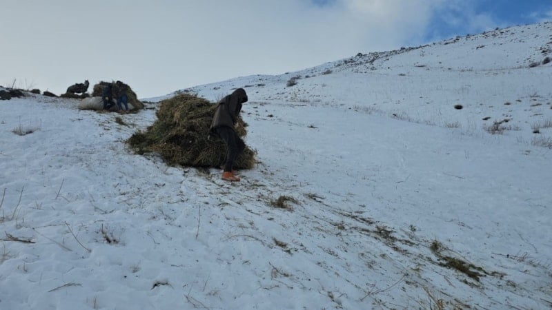 Van'da kış mesaisi sürüyor