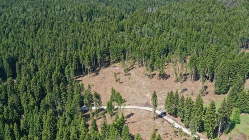 Bazı alanlar orman sınırları dışına çıktı: 11 il etkilendi