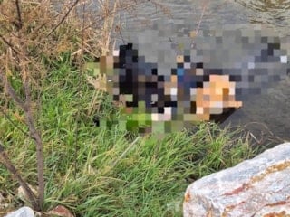 Balıkesir'de feci kaza: Trenin çarptığı şahıs hayatını kaybetti