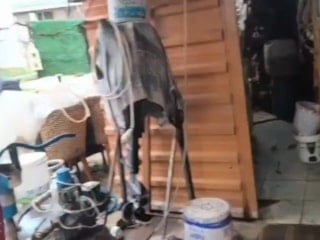 Bursa'da jandarmadan yılbaşı öncesi kaçak içkiye darbe