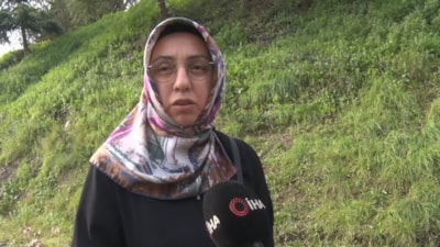 Kocaeli'de başıboş köpek tepkisi: 30'a yakın köpek bir arada dolaşıyor