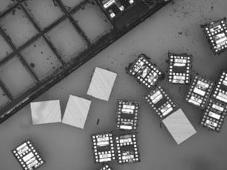 Dünyanın en küçük robotları üretildi: Bir gün hayatınızı kurtarabilir