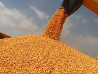 TMO'nun stokları gelecek hasat dönemine kadar yeterli