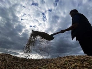 Çiftçilere yaklaşık 1,7 milyar lira tarımsal destekleme ödemesi bugün yapılacak