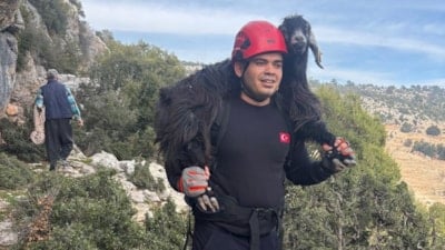 Mersin’de uçurumda can pazarı: Mahsur kalan 2 keçi kurtarıldı