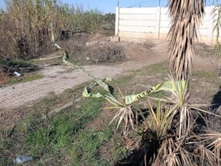 Adana'da sır ölüm: Yol kenarında kadın cesedi bulundu