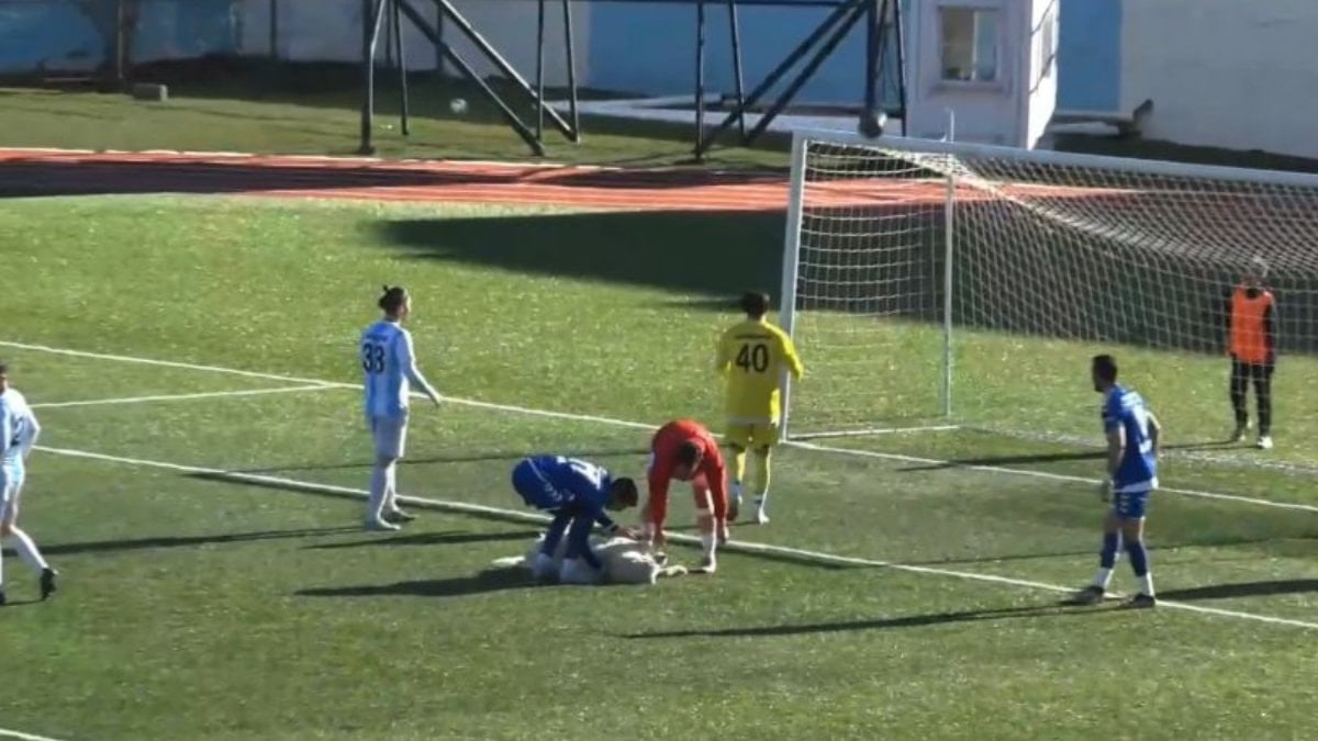 Tunceli'de sahaya giren köpek kale önünde uyudu