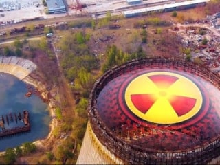 Çernobil'deki radyasyona maruz kalan köpekler evrim geçiriyor mu: İşte bilimin yanıtı