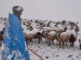Erzincan yaylalarından köylere uzanan zorlu kış mesaisi