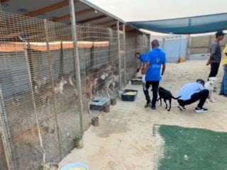 Gazze'nin tek hayvan barınağının çalışanları yemeklerini hayvanlarla paylaştı