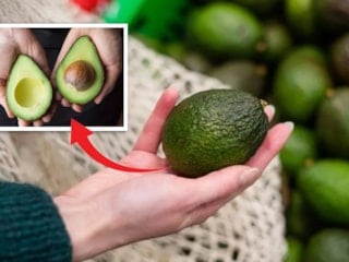 Olgun avokado seçmenin en kolay yolu! Sapı ele veriyor