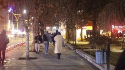 Erzincan'ın kronik karga sorunu: Akşam saatlerinde sokakları sardılar