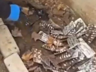 İzmir'de toprağa gömülü uyuşturucu bulundu