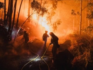 AB ormanları 2025'teki yangınlarda en büyük kaybı yaşadı