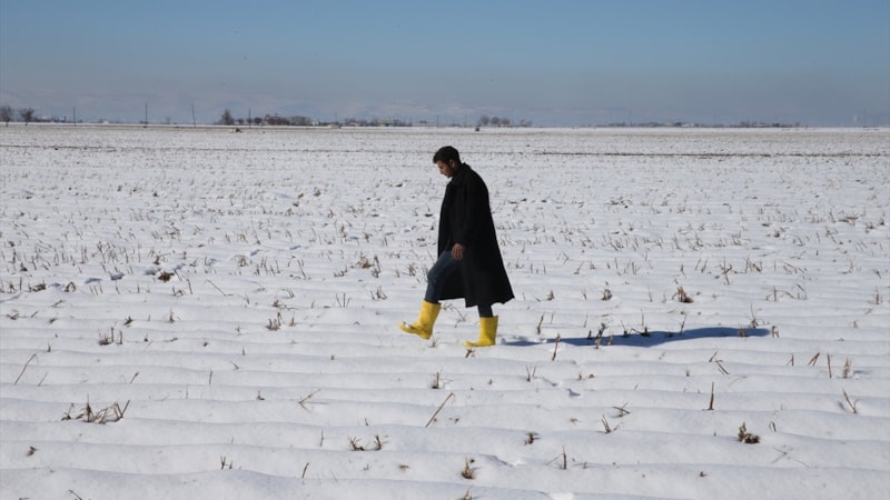 Şanlıurfa'da etkili olan kar yağışı çiftçiyi sevindirdi