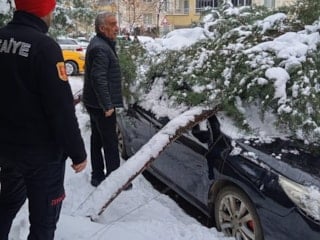 Siirt’te kar yüklü çam ağacı, otomobilin üzerine devrildi