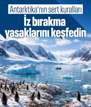 Antarktika’da yasaklar: İnsan müdahalesine kapalı kıta