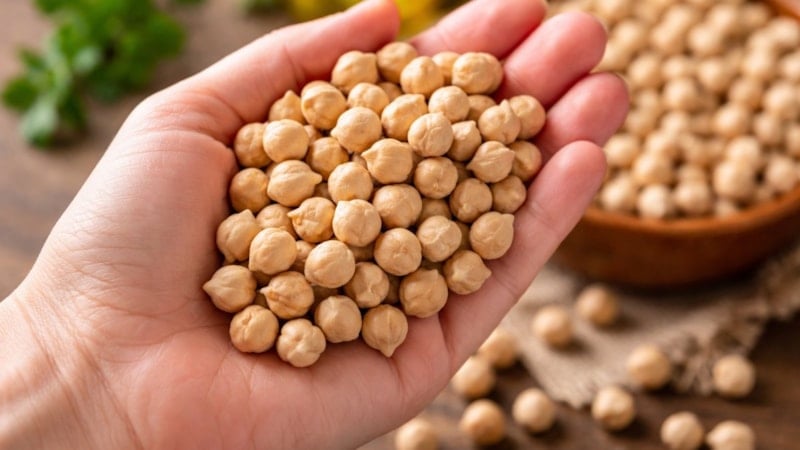 Her gün 1 avuç nohut yerseniz bakın neler değişiyor...