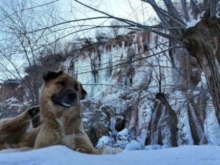 Erzincan’da doğa dondu, Girlevik Şelalesi buz kesti