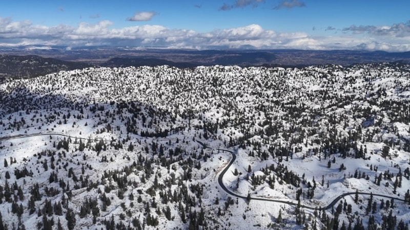 Mersin'de karla kaplanan ormanlık alandan kartpotallık görüntüler