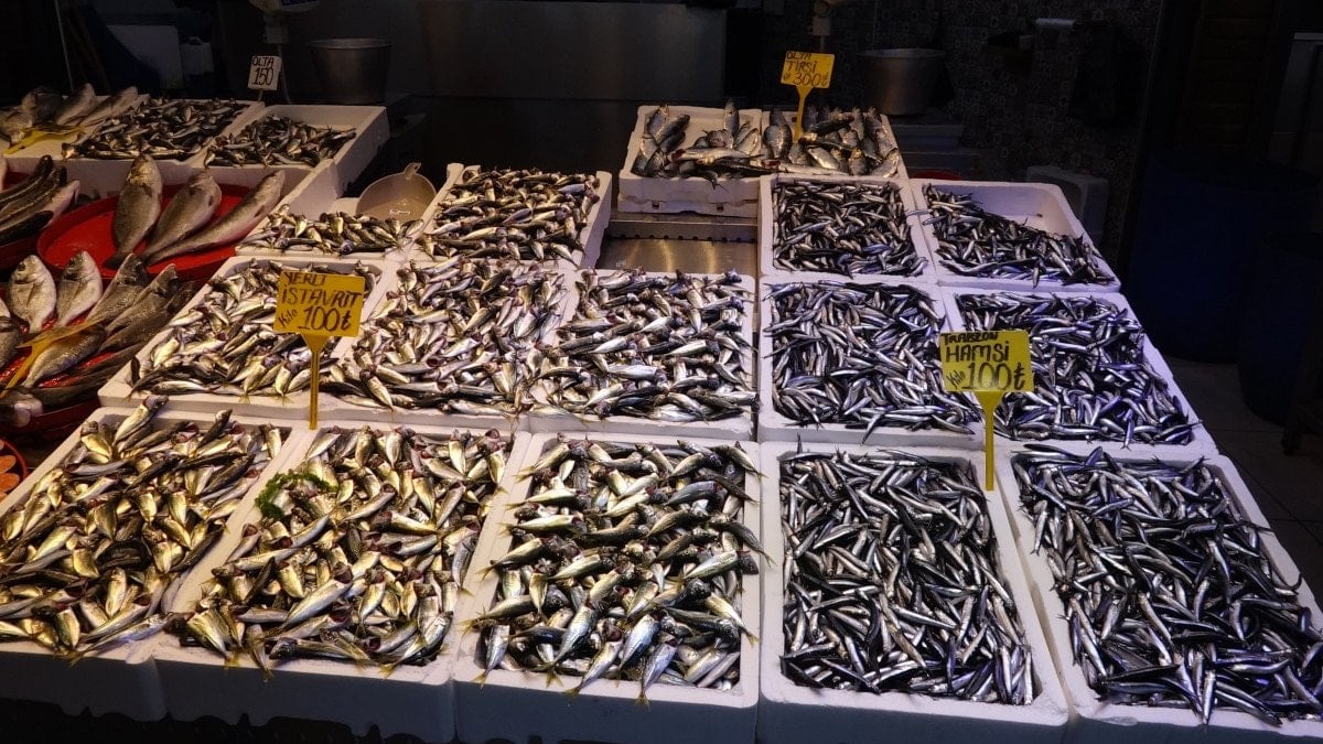 Trabzon Balık Tezgahlarında Hamsi ve Istavritte Dar Günler: Hava Koşulları Avı Kısıtladı