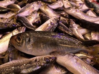 Trabzon'da kar ve fırtına nedeniyle balık tezgahlarında çeşitlilik azaldı