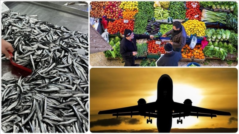 Aralık 2025'te fiyatı en fazla artan ürün 'taze balık' oldu