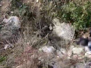 Balıkesir'den kayıp olarak aranıyordu: Cesedi Mersin'de bulundu