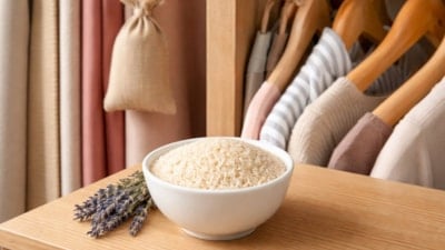 Gardıroba bir kase pirinç koyanlar sonucuna inanamıyor!