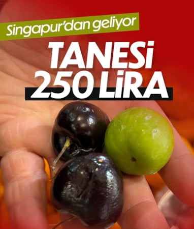 Düzce'de hamileler için Singapur'dan özel meyve getiriliyor