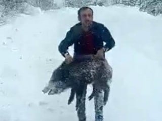 Sinop'ta domuz yakalayan adam konuştu