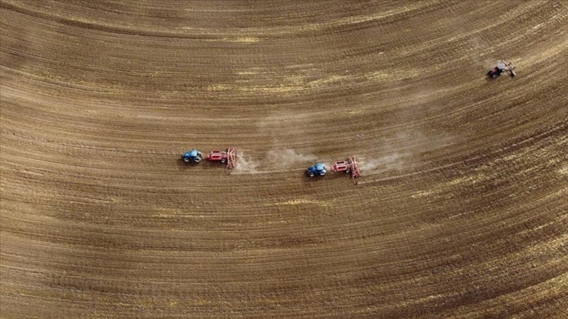 Tarım sayımı sonuçları yılın ikinci yarısında açıklanacak