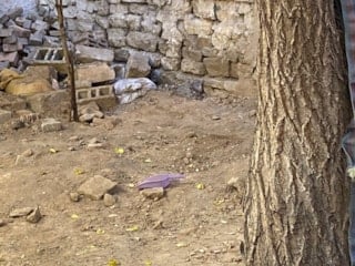 Konya'da öldürdüğü kadını bahçeye gömen sanığa ağırlaştırılmış müebbet hapis