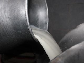 Çiğ süt tavsiye fiyatı: Litre başına 22,22 lira