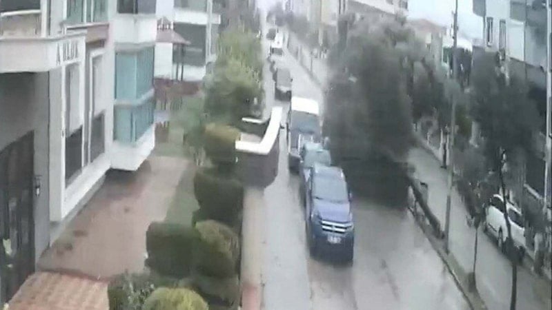 Aydın'da fırtınada kökünden sökülen ağaç devrildi