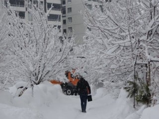 Bitlis'te kar yağışı etkili oldu