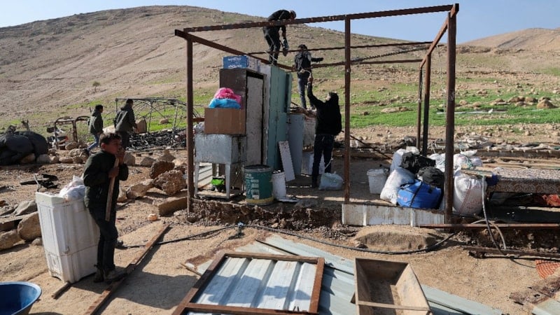 İsrailli kanunsuz yerleşimciler, Filistinlilerin 200 koyun ve bir aracını çaldı