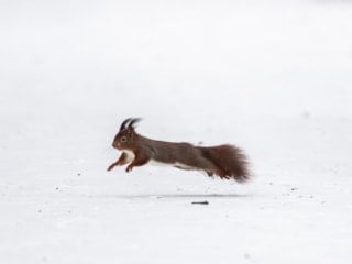 Almanya’da “Elli Fırtınası” ulaşımı felç etti: Tren seferleri iptal, maçlar ertelendi