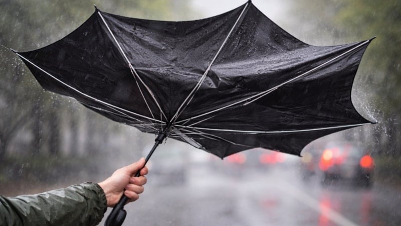 Şemsiyelerin ters dönme sebebi bakın neymiş...