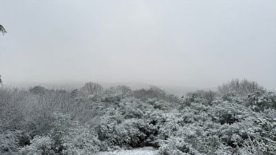 İstanbul'da kar yağışı etkili oluyor