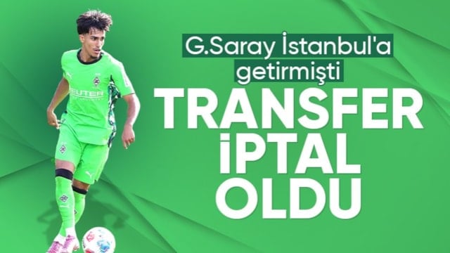 Can Armando Güner, Almanya'ya döndü