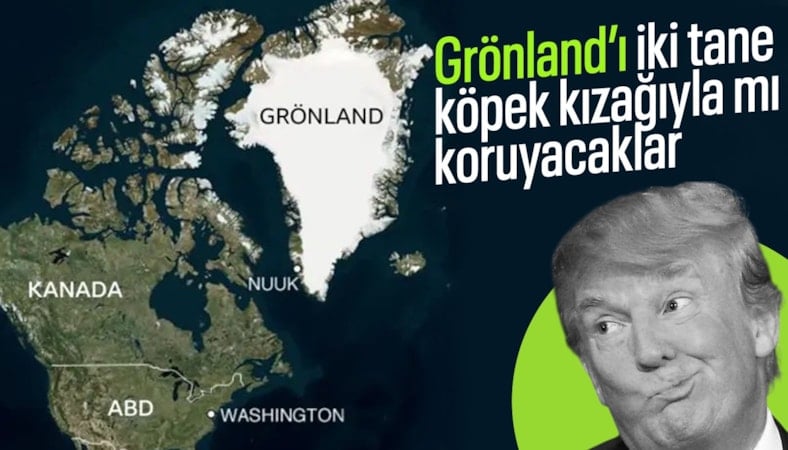 Donald Trump: Grönland'ın savunmasını iki köpek kızağı yapıyor