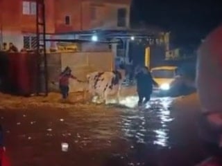 Hatay'da sağanak yağış, su baskınlarına neden oldu