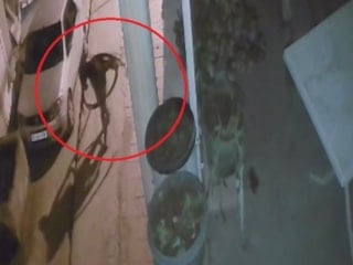 Hatay'da kablo hırsızları kameraya yakalandı