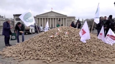 Fransız çiftçiler, Ulusal Meclis'in önüne 30 ton patates döktü