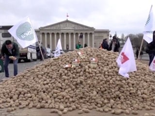 Fransız çiftçiler, Ulusal Meclis'in önüne 30 ton patates döktü