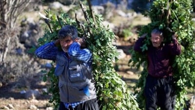 Orman köylüsü ailelere 2,55 milyar lira destek