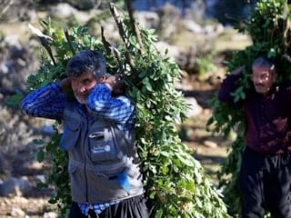 Orman köylüsü ailelere 2,55 milyar lira destek